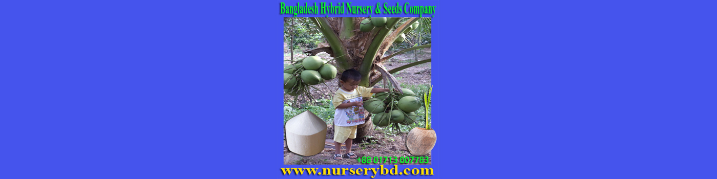 Aromatic Coconut Seedling Plant, Red Aromatic Coconut Seedling Plant, Green Aromatic Coconut Seedling Plant, Hybrid Coconut Seedling Plant, Red Hybrid Coconut Seedling Plant, Green Hybrid Coconut Seedling Plant, Xiem Coconut Seedling Plant, Red Xiem Coconut Seedling Plant